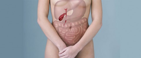 ambulatorio di Gastroenterologia: apparato digerente