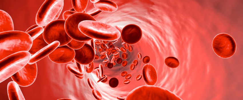 esami del sangue per anemia milano centro medico buonarroti