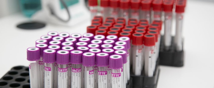 esami del sangue centro medico buonarroti prevenzione base