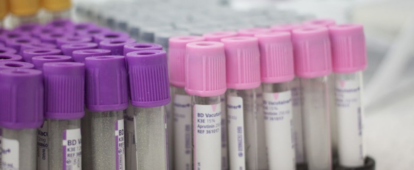 pacchetto esami del sangue metabolismo centro medico buonarroti