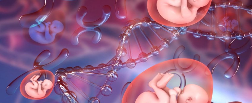 esame dna fetale nipt milano buonarroti