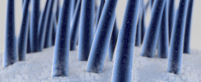 visita tricologica milano